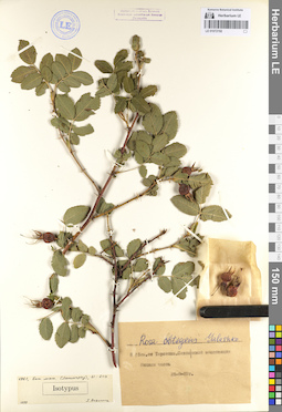 LE 01072192