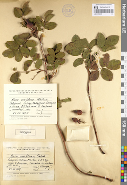 LE 01072195