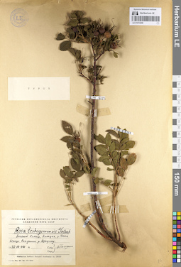 LE 01072208