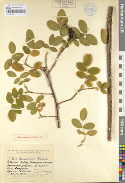 LE 01072219