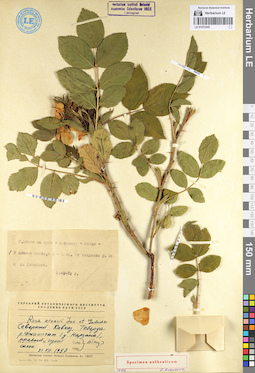 LE 01072245