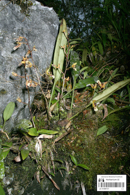 LE 01089721