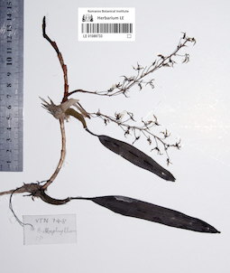 LE 01089733