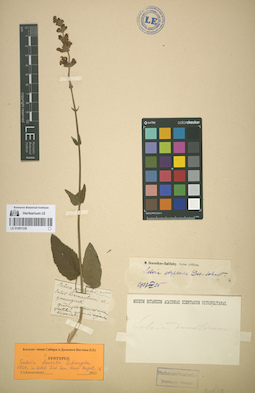 LE 01081339