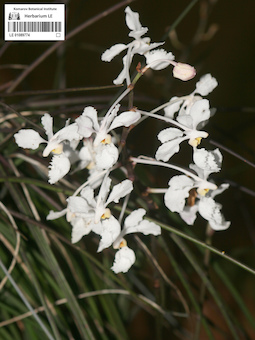LE 01089774
