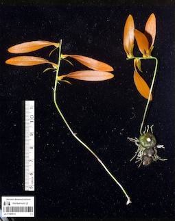 LE 01089814
