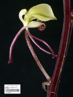 LE 01089823