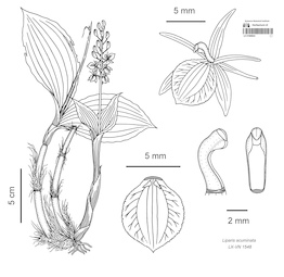 LE 01089824