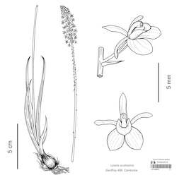 LE 01089825