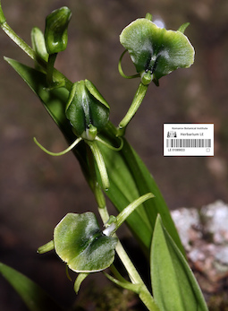 LE 01089833
