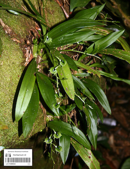 LE 01089834