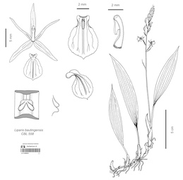 LE 01089835