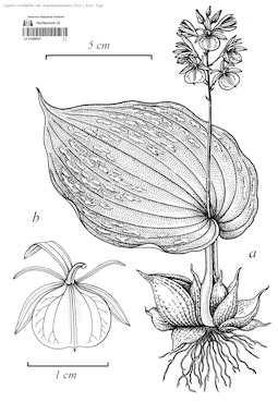 LE 01089857