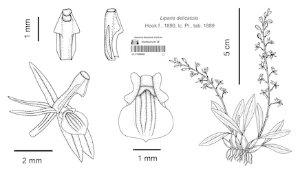 LE 01089863