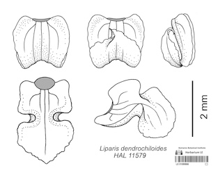 LE 01089866