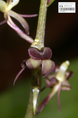 LE 01089878