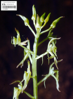 LE 01089894