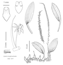 LE 01089907