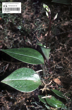 LE 01089913