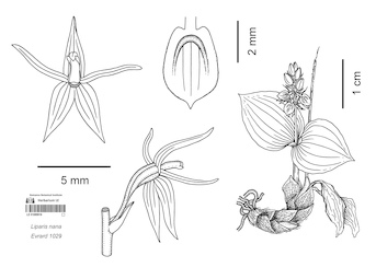 LE 01089918
