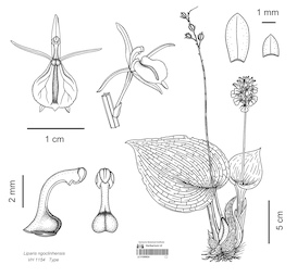 LE 01089924