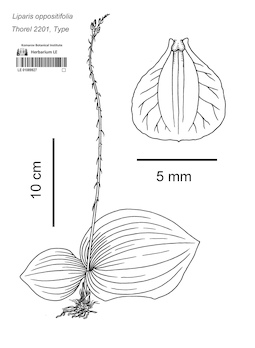 LE 01089927