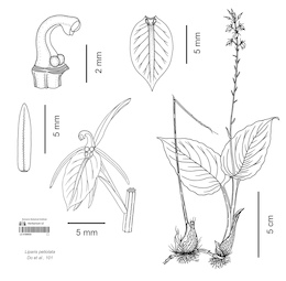 LE 01089930