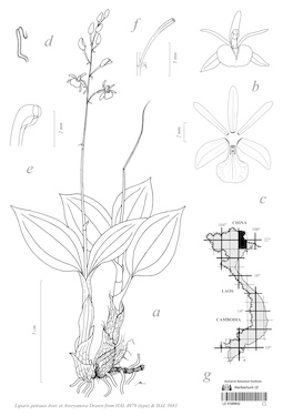 LE 01089932