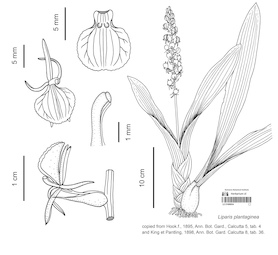 LE 01089934