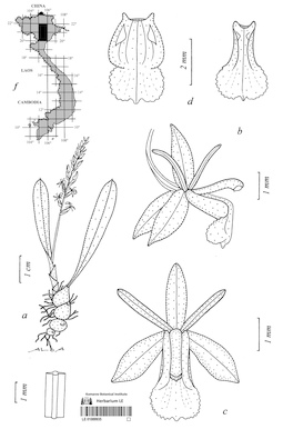 LE 01089935