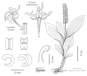 LE 01089943