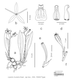 LE 01089950