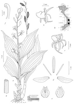 LE 01089957