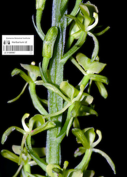 LE 01089967