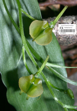 LE 01089974