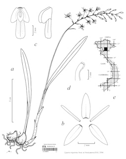LE 01089979
