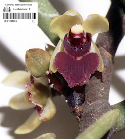 LE 01090024