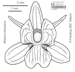 LE 01090060