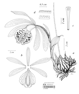 LE 01090069