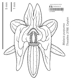 LE 01090092