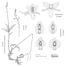 LE 01090094