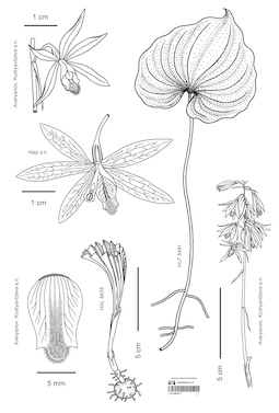 LE 01090127