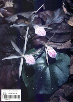 LE 01090138