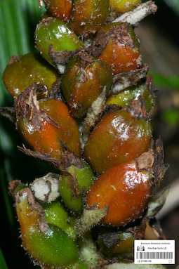 LE 01090149