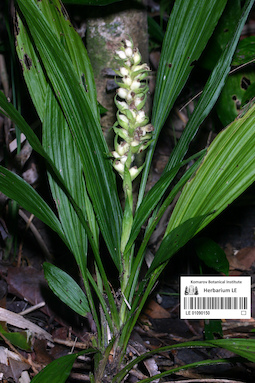 LE 01090150