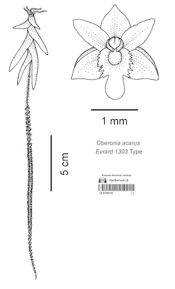 LE 01090155