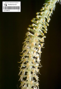 LE 01090161