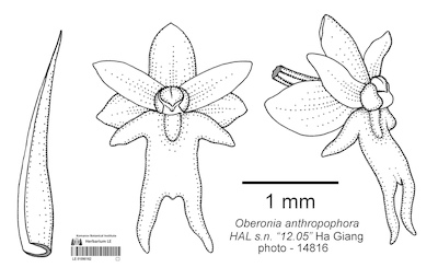 LE 01090162