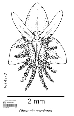 LE 01090165