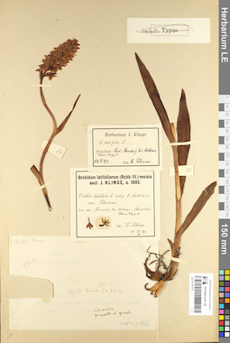 LE 01107771